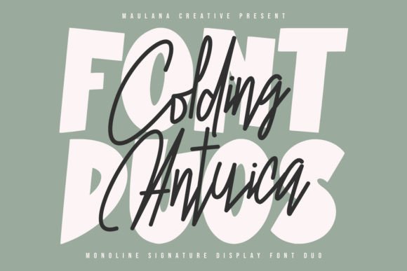Colding Antuica Font for Modern Web Headers